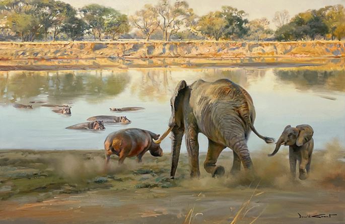 Donald Currie Grant - Elephant disturbing hippo | MasterArt